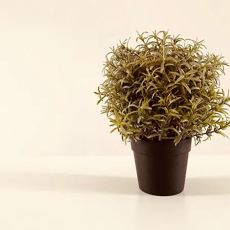 Gajowa אכסניה *